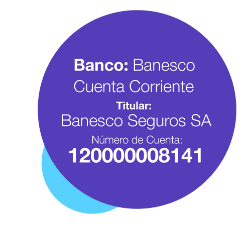 Información de pago para los paneles de pago A