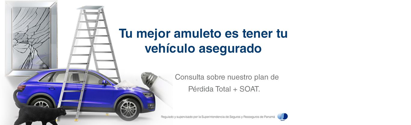 Banner Perdida Total